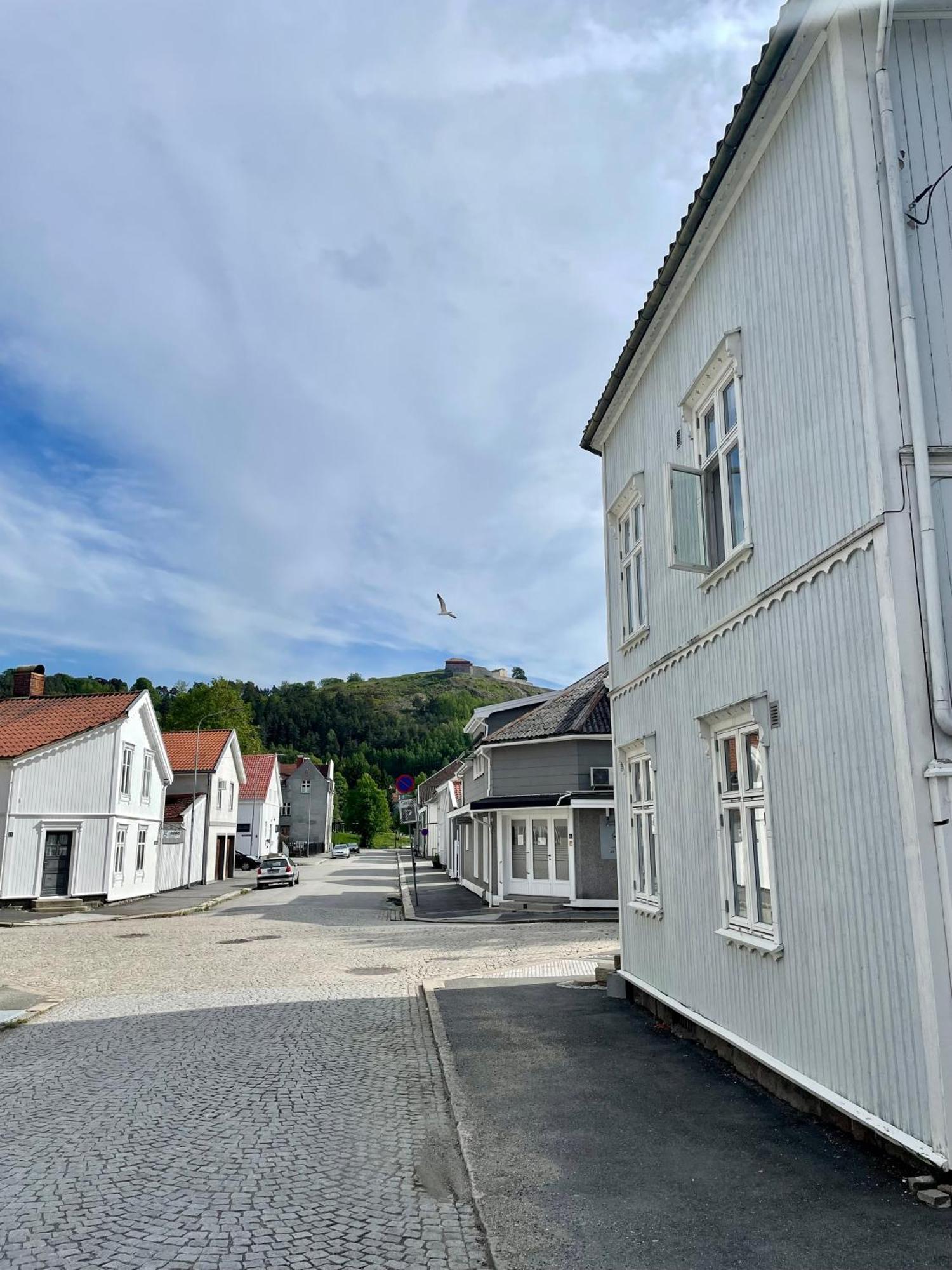 Sentral Og Fargerik Bygardsleilighet Halden Esterno foto